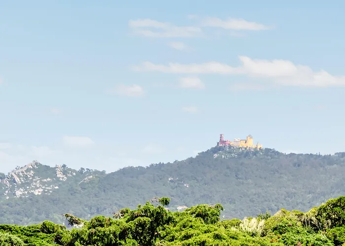 Sarrazola House Guest house