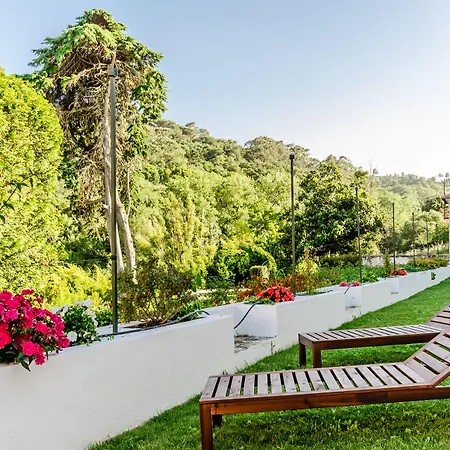 招待所 Sarrazola House